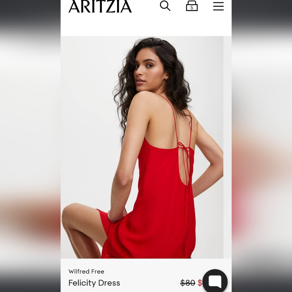 Aritzia Felicity dress